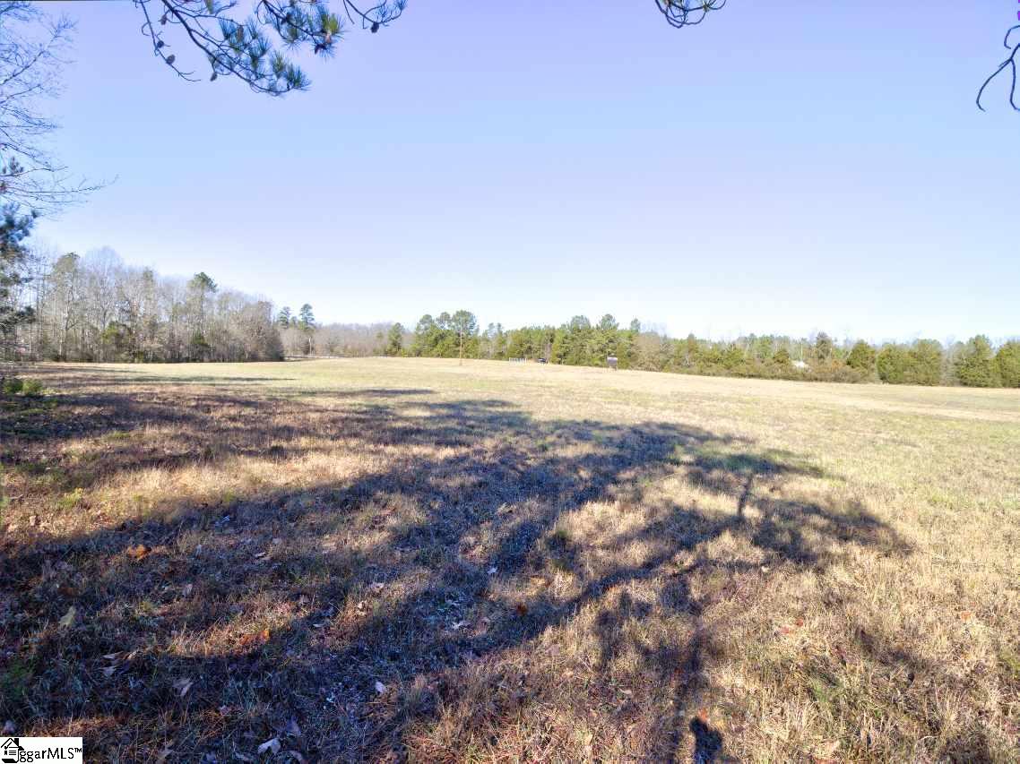 414 Crawford Road Gray Court, SC 29645 - Photo 17 of 18