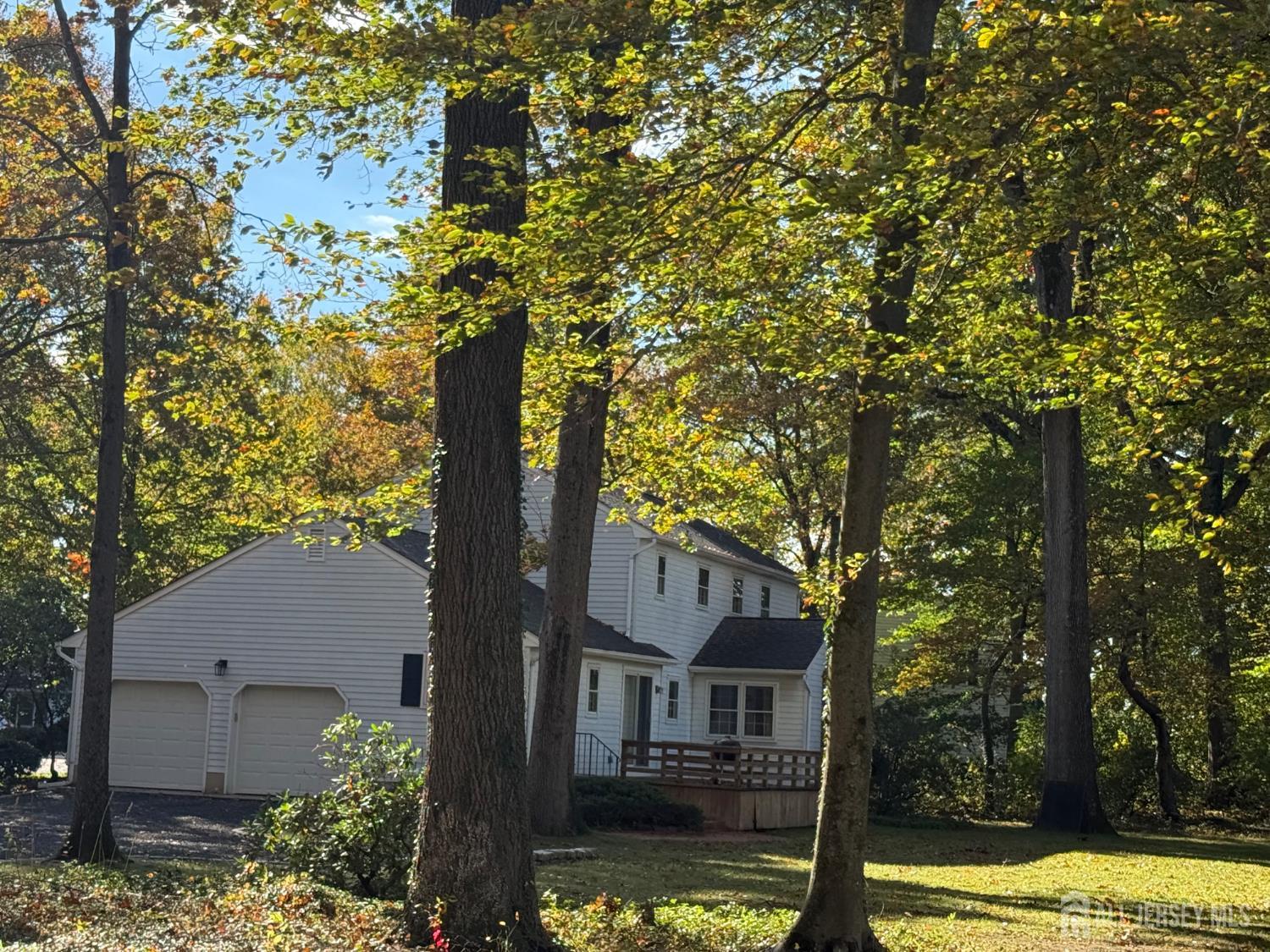 3 Beechtree Lane Plainsboro, NJ 08536 - Photo 3 of 6 a front view of a house with a yard and large trees
