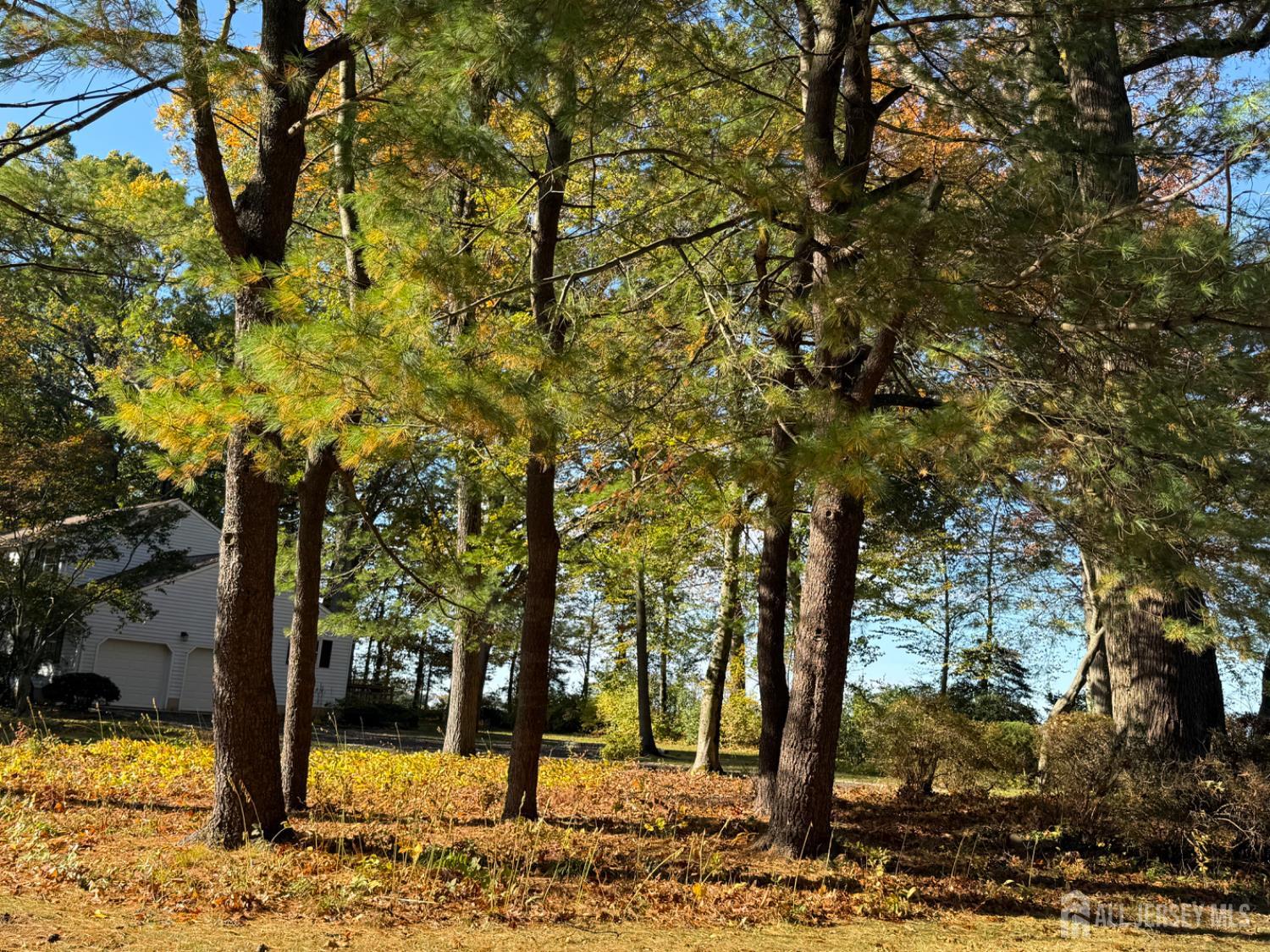 3 Beechtree Lane Plainsboro, NJ 08536 - Photo 4 of 6 a view of a yard with trees