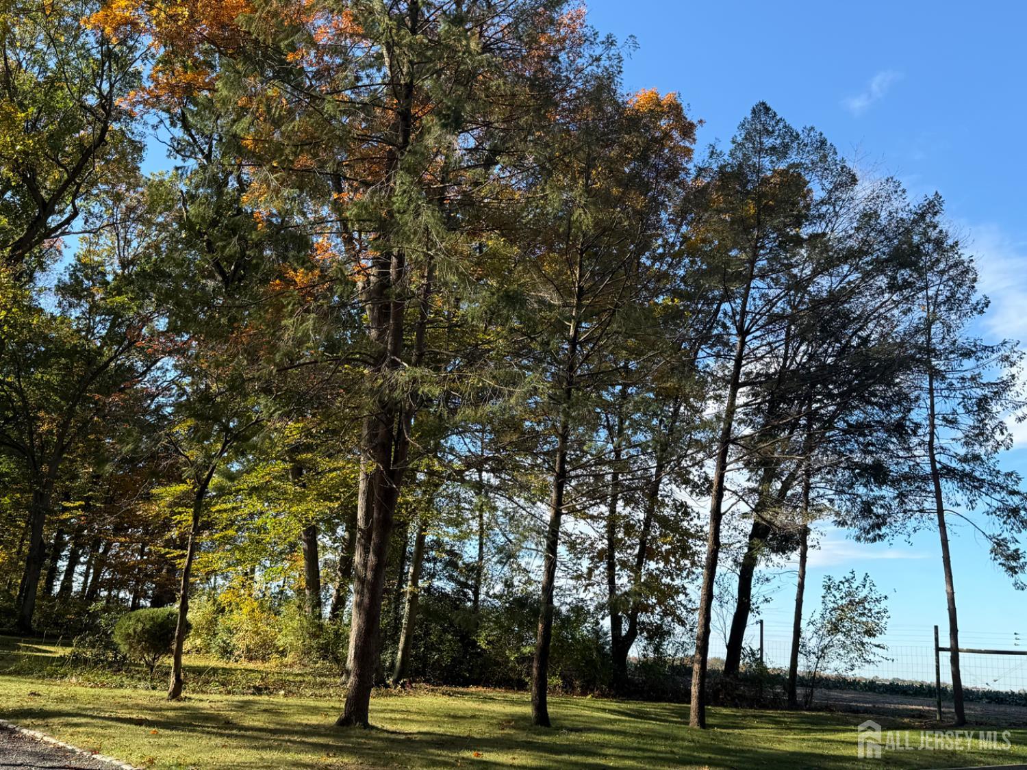 3 Beechtree Lane Plainsboro, NJ 08536 - Photo 5 of 6 a view of a city view