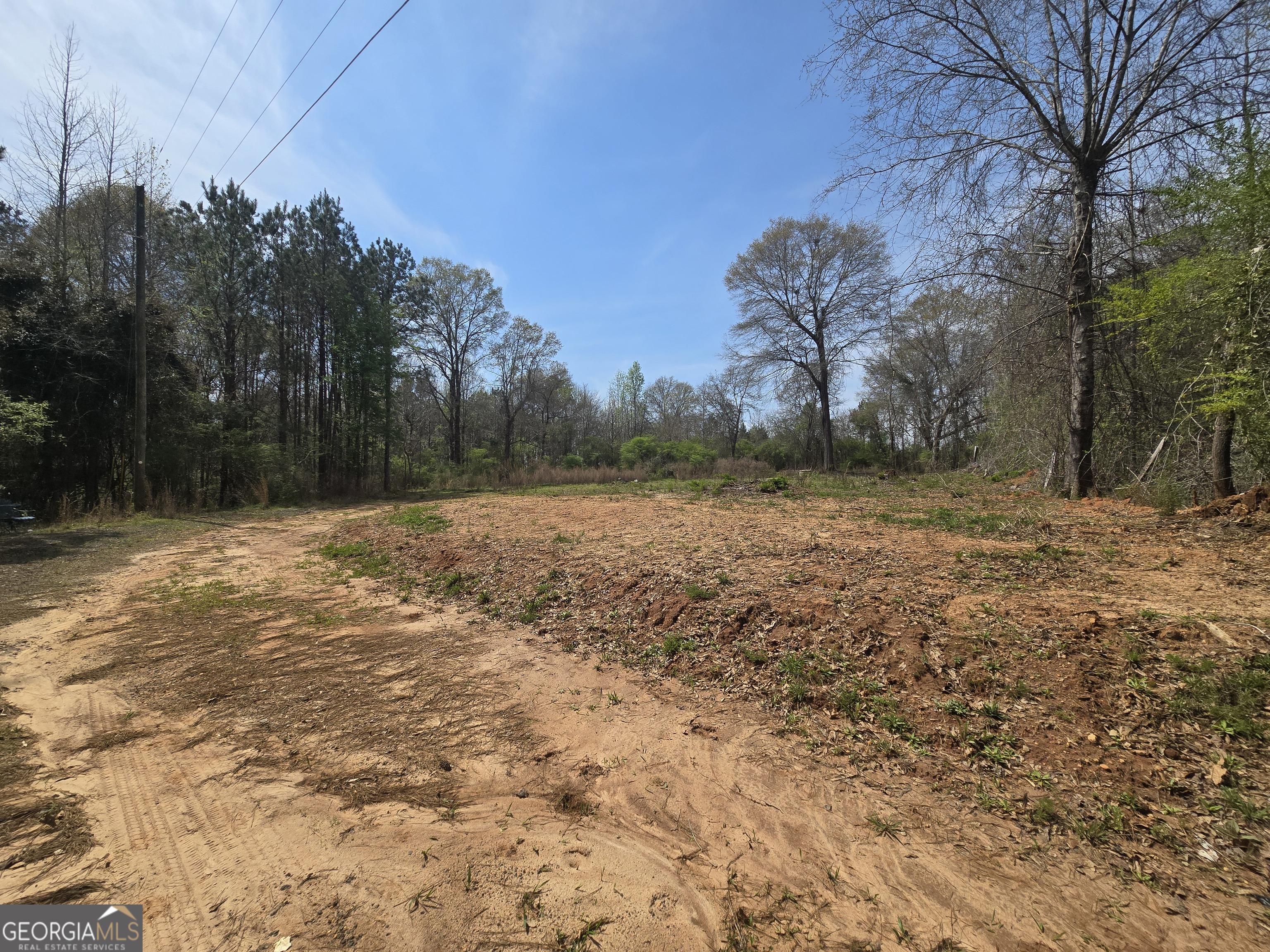 3588 West Ellis Road Griffin, GA 30223 - Photo 4 of 9