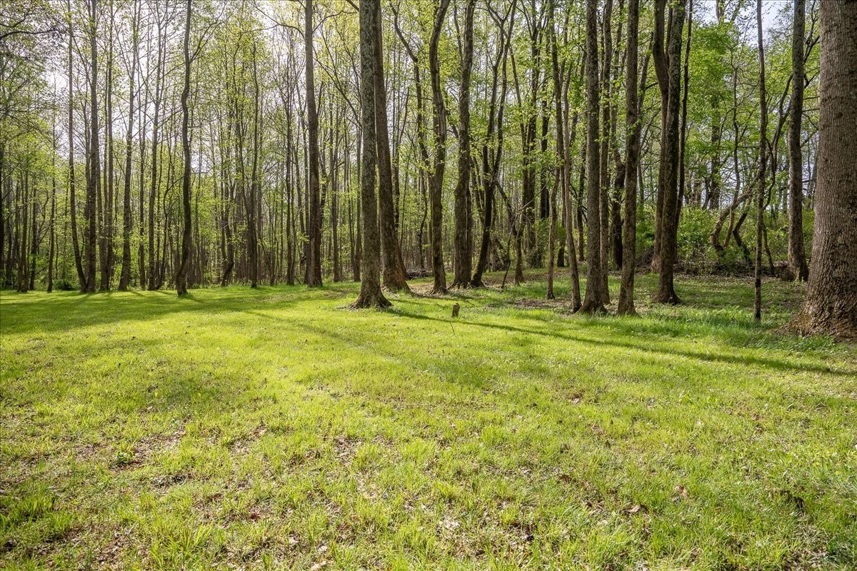 40 R B Brown Leoma, TN 38468 - Photo 11 of 89