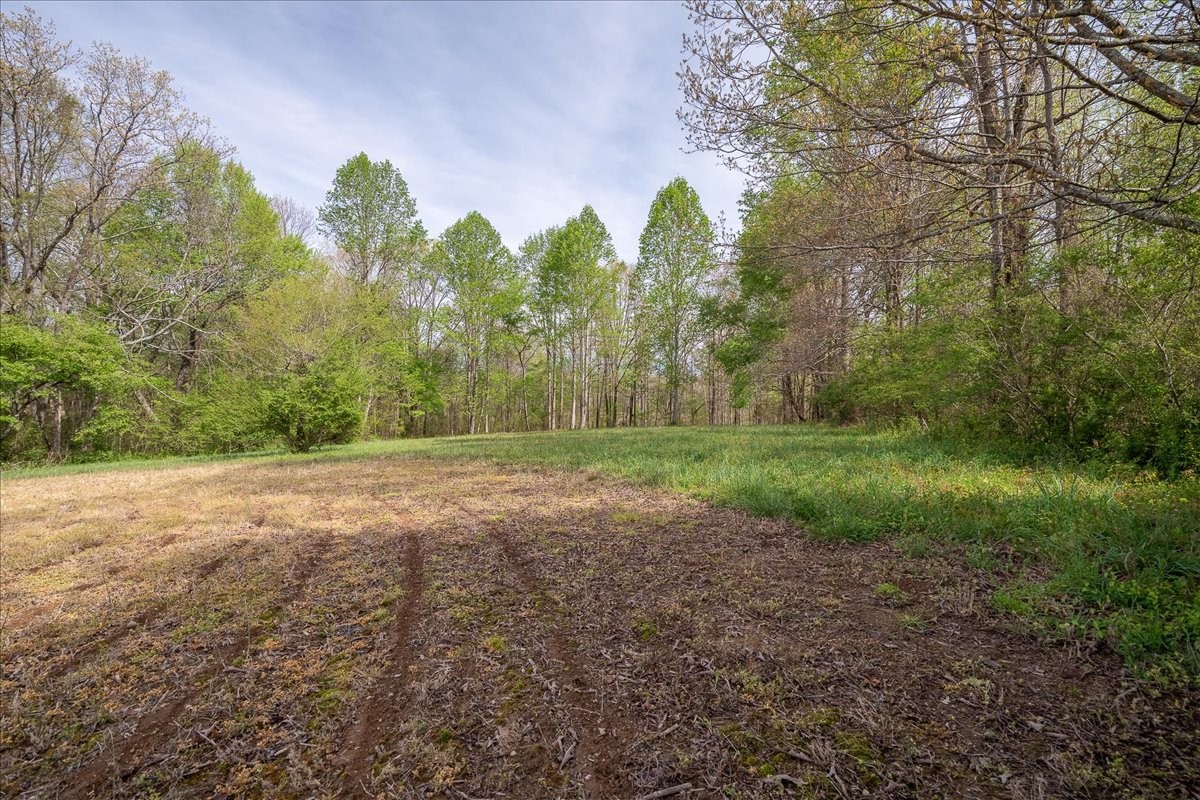 40 R B Brown Leoma, TN 38468 - Photo 14 of 89