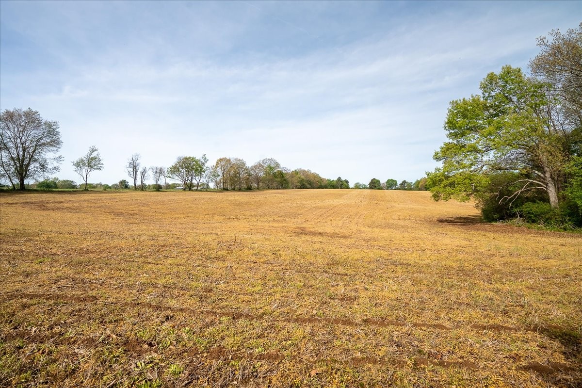 40 R B Brown Leoma, TN 38468 - Photo 15 of 89