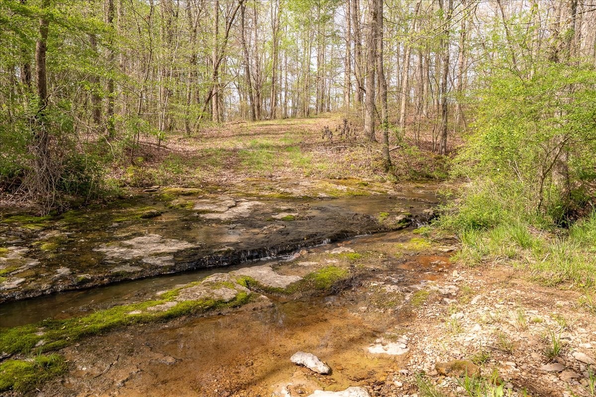 40 R B Brown Leoma, TN 38468 - Photo 17 of 89
