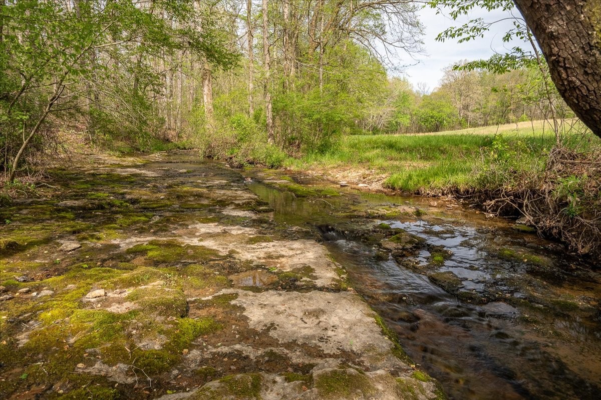40 R B Brown Leoma, TN 38468 - Photo 20 of 89