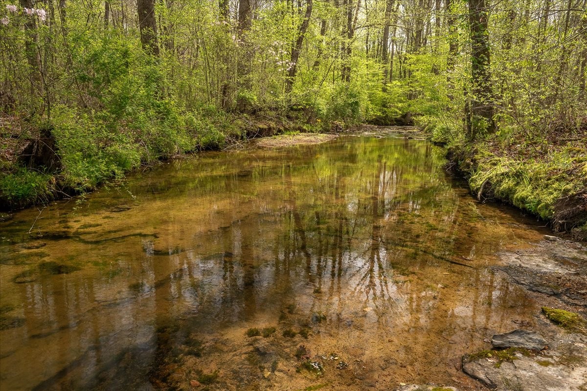 40 R B Brown Leoma, TN 38468 - Photo 7 of 89