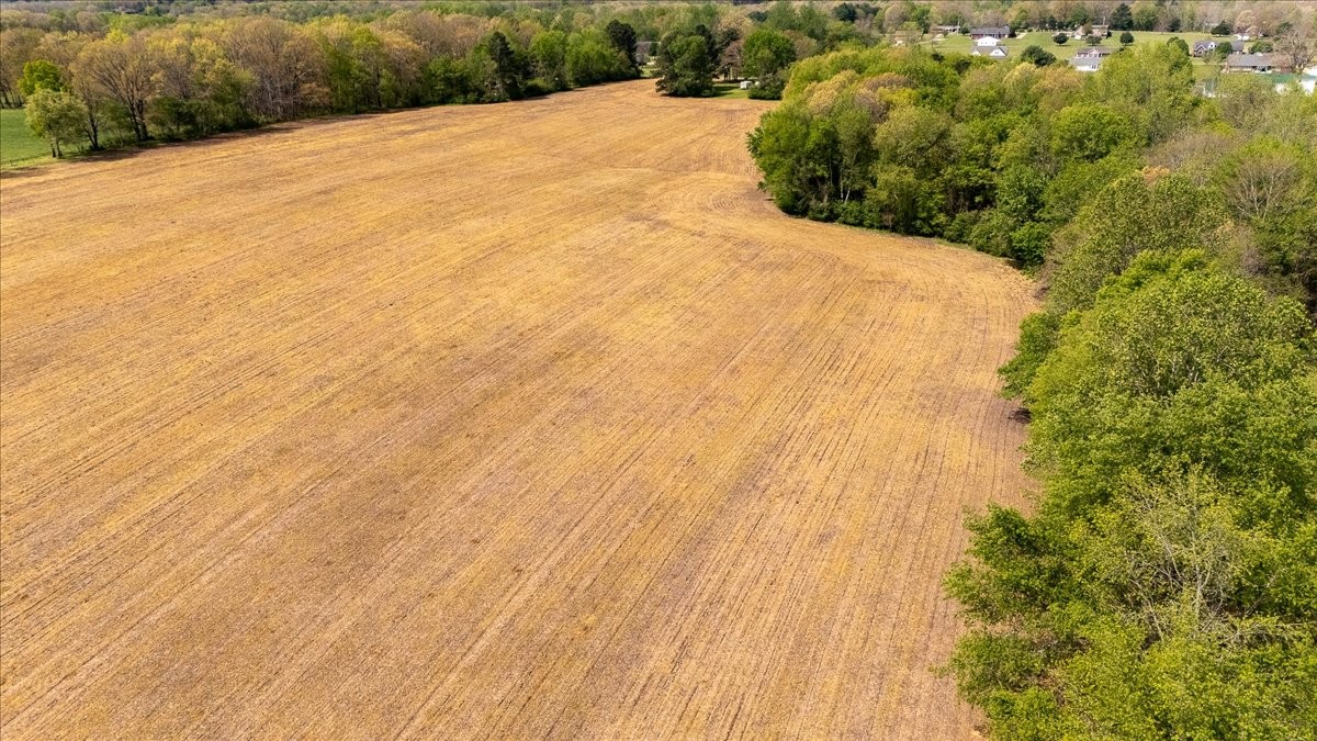 40 R B Brown Leoma, TN 38468 - Photo 76 of 89