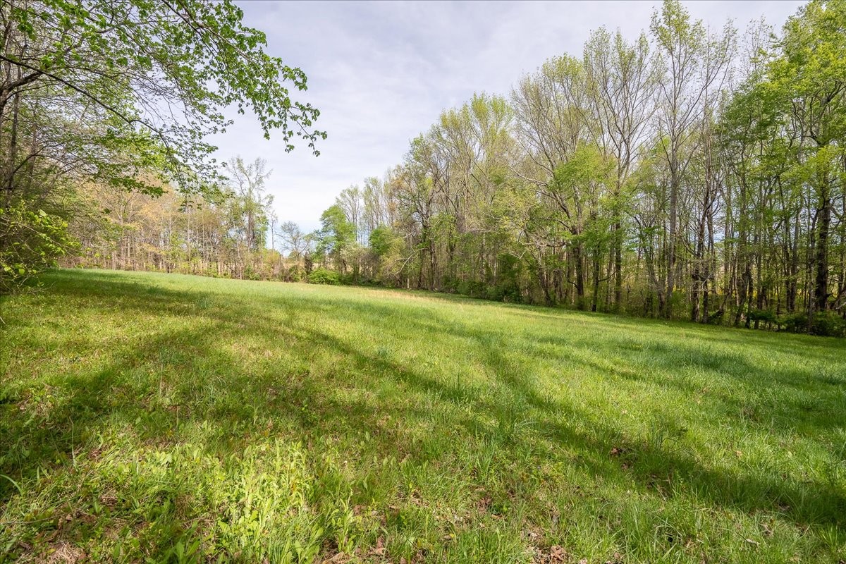 40 R B Brown Leoma, TN 38468 - Photo 8 of 89