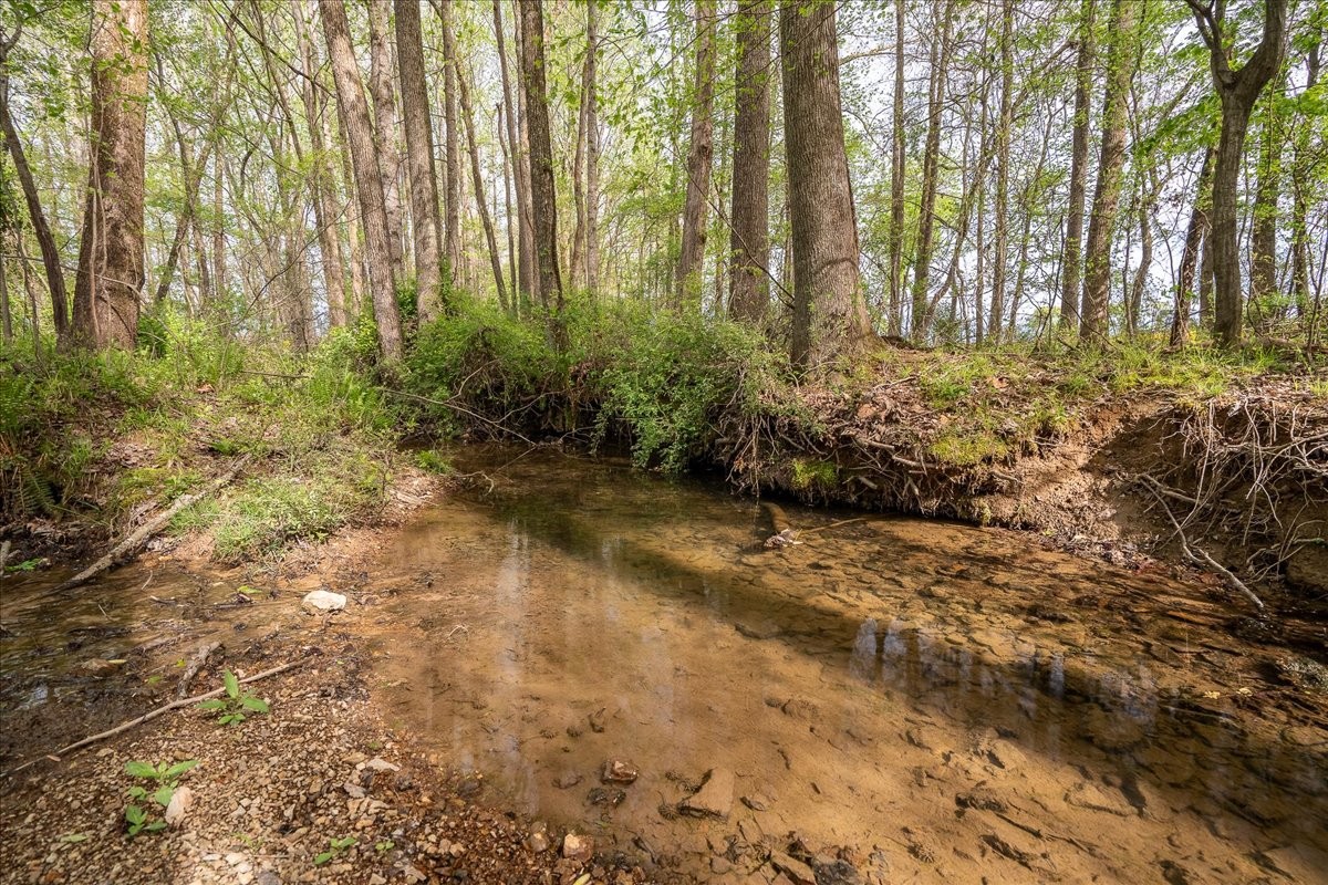 40 R B Brown Leoma, TN 38468 - Photo 9 of 89