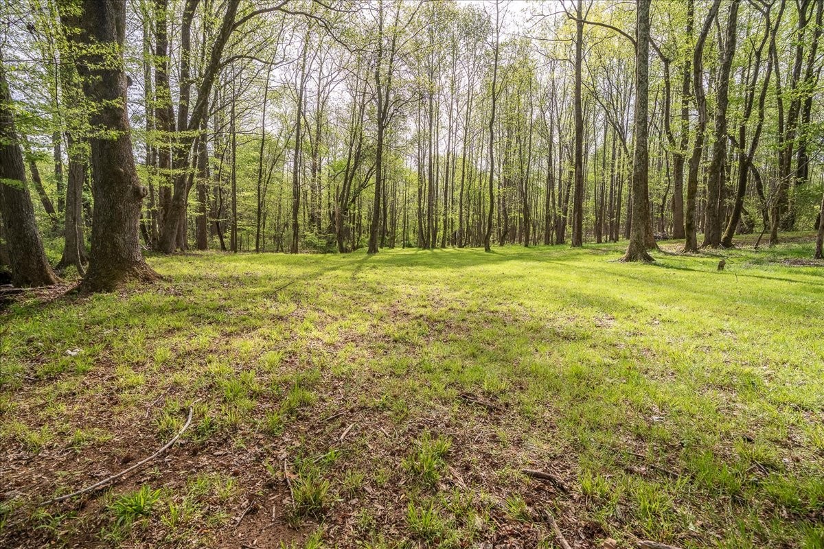 40 R B Brown Leoma, TN 38468 - Photo 10 of 89