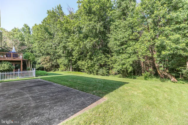 a view of a backyard with large trees