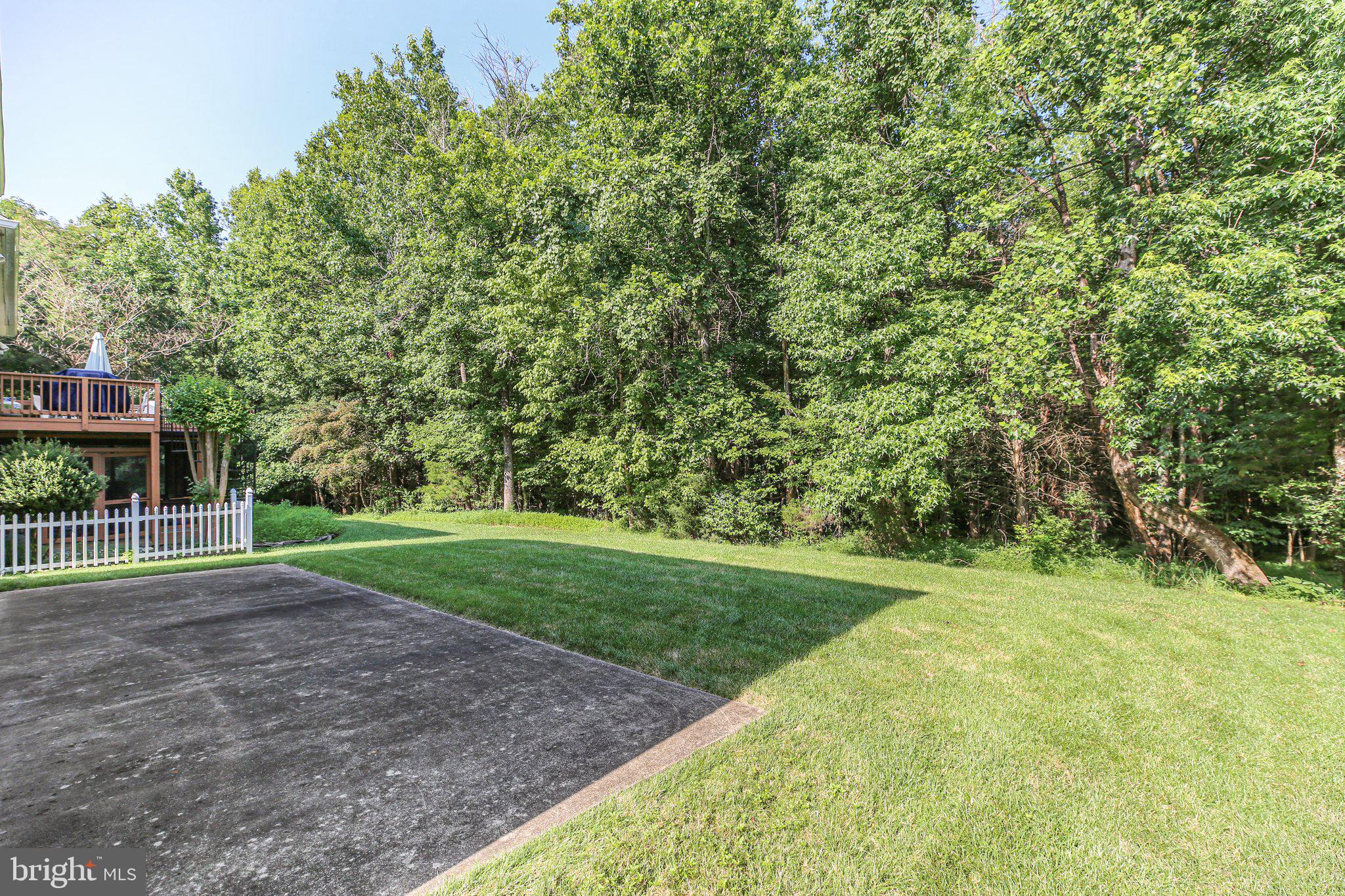 14 Sugargrove Court Fredericksburg, VA 22406 - Photo 3 of 63 a view of a backyard with large trees