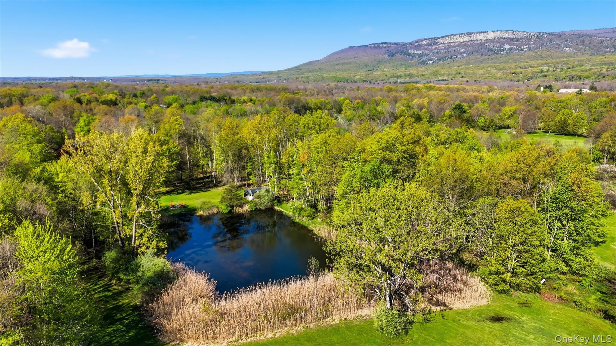 88 Bruynswick Road New Paltz, NY 12561 - Photo 33 of 40