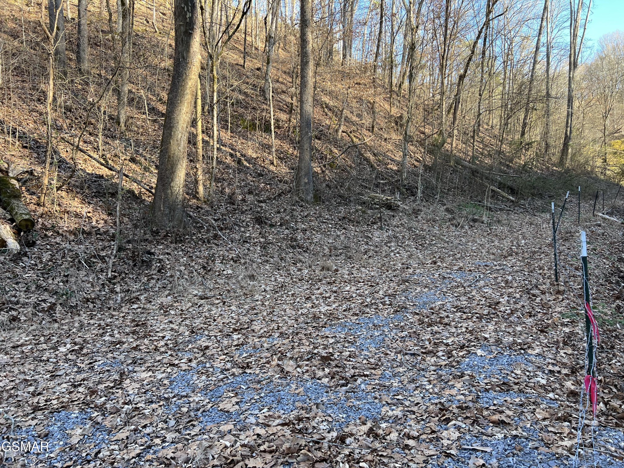 1 Indian Gap Road Sevierville, TN 37876 - Photo 9 of 9