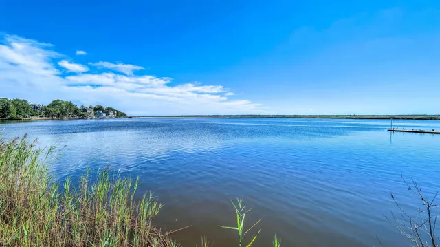 a view of an ocean from a yard