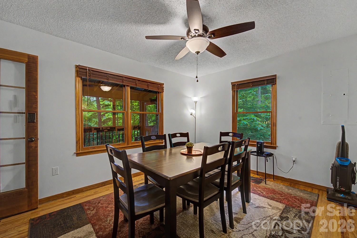 903 Plott Balsam Road Maggie Valley, NC 28751 - Photo 6 of 22