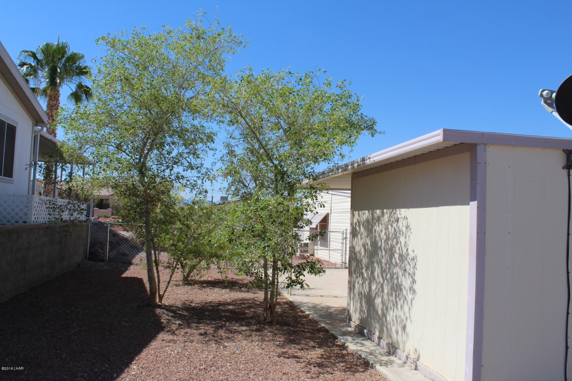 1966 Bayshore Road Lake Havasu City, AZ 86404 - Photo 14 of 22 Side Yard With Nice Trees