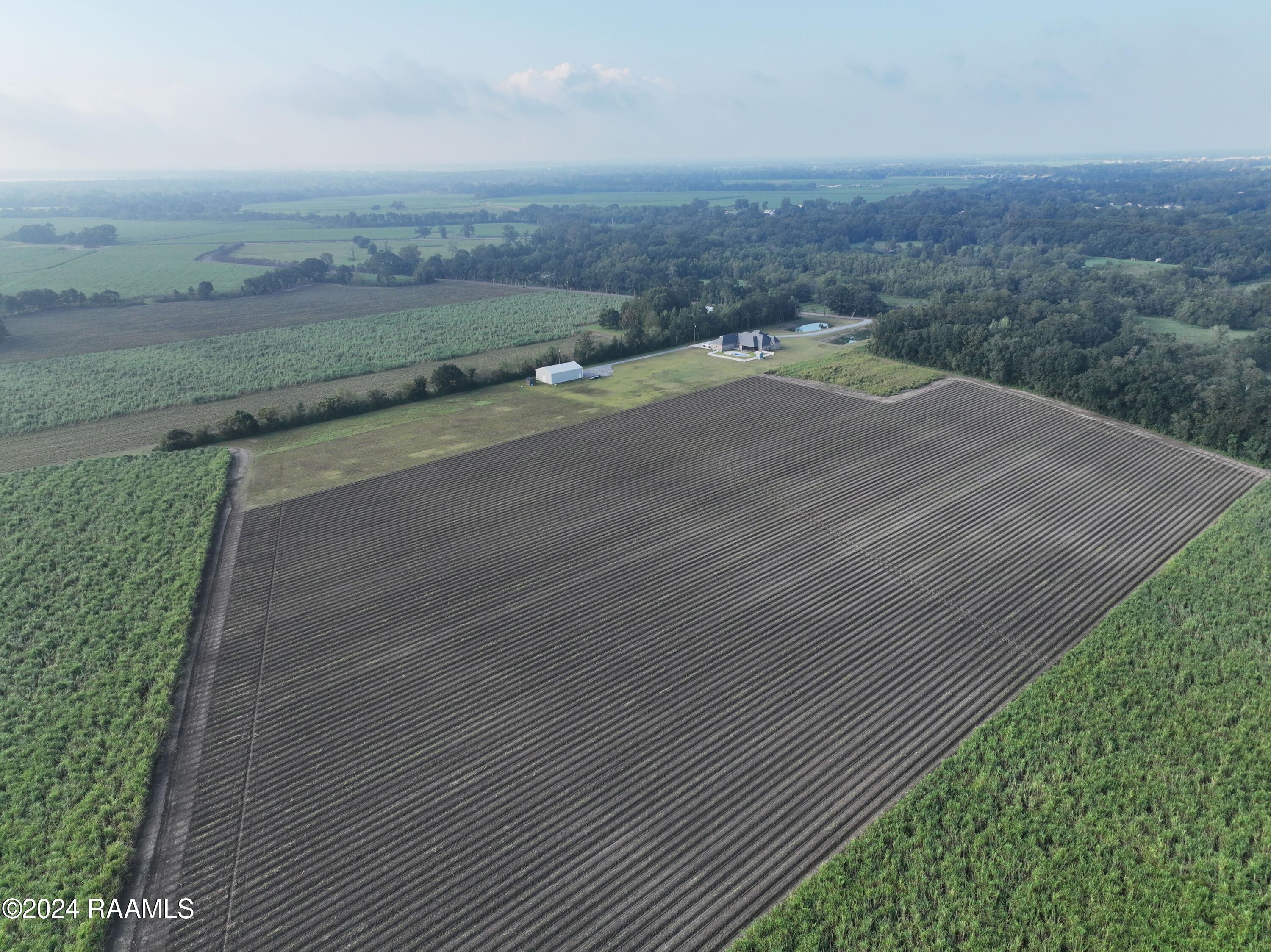 Tbd Delaloire Road St. Martinville, LA 70582 - Photo 5 of 8