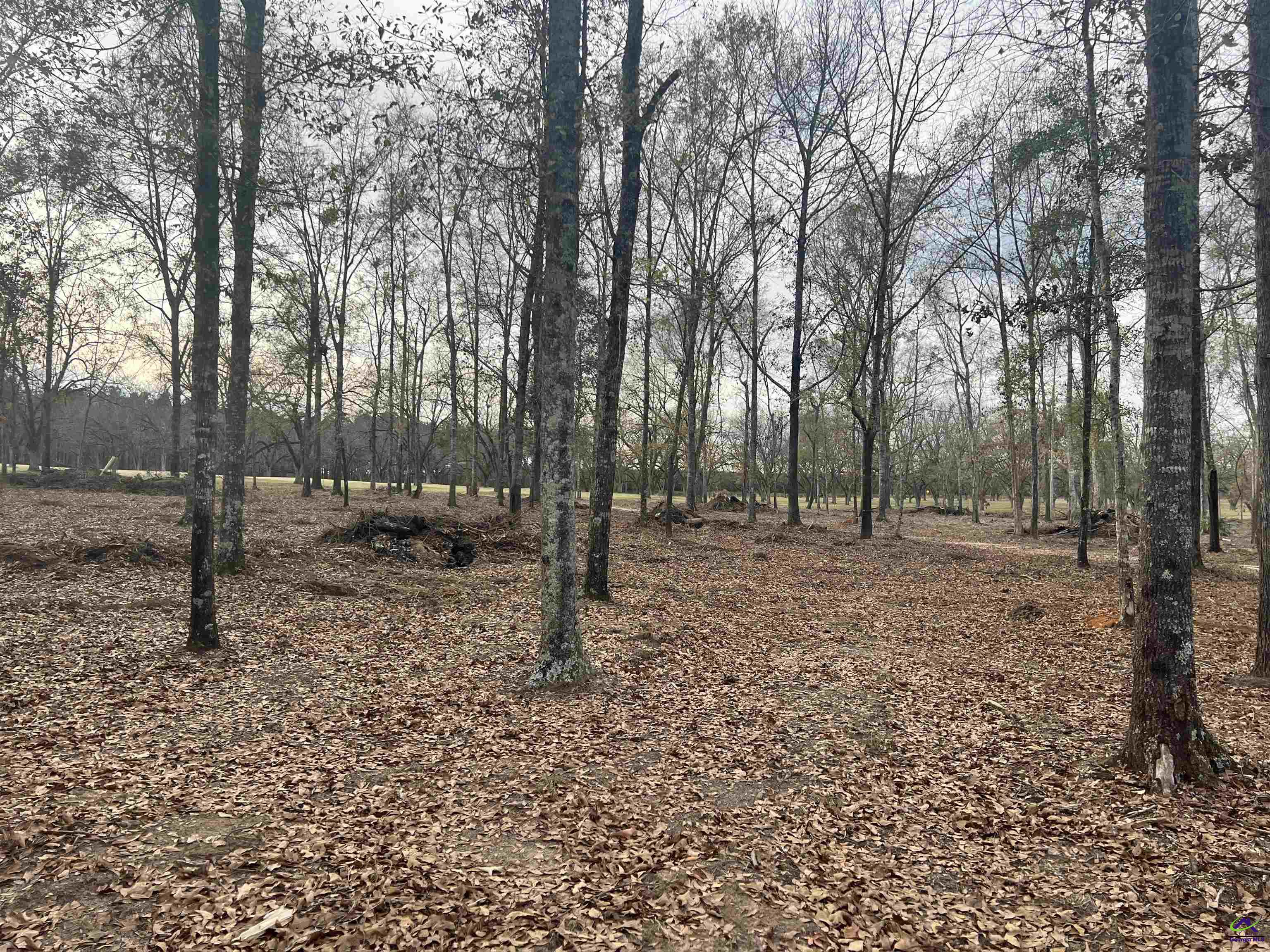 2382 Gallimore Mill Road Danville, GA 31017 - Photo 76 of 80