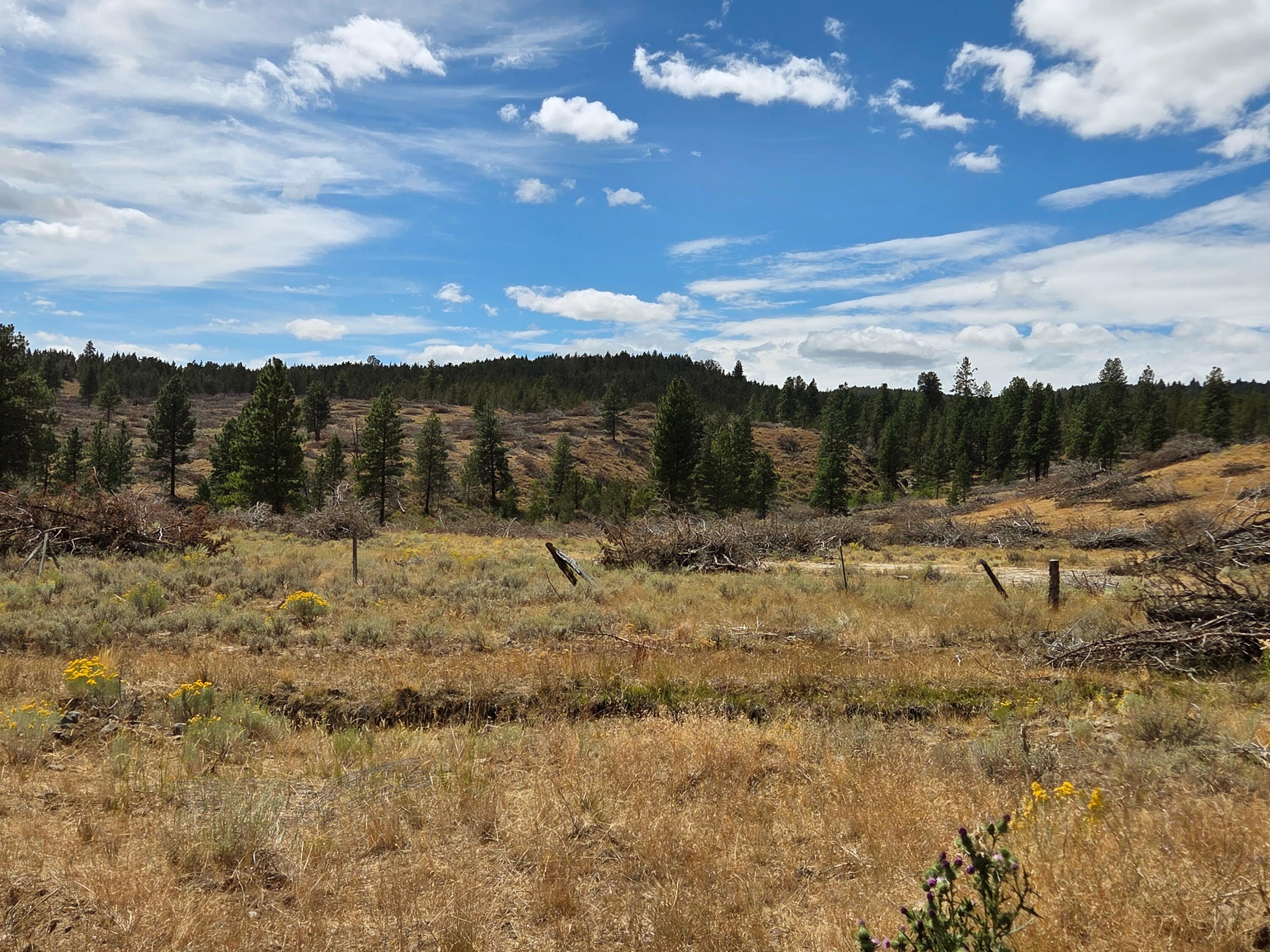 32500 Tackman Road Prineville, OR 97754 - Photo 106 of 112
