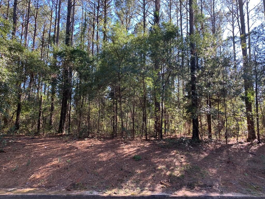 804 Liveoak Trail Dothan, AL 36305 - Photo 1 of 3 Main View