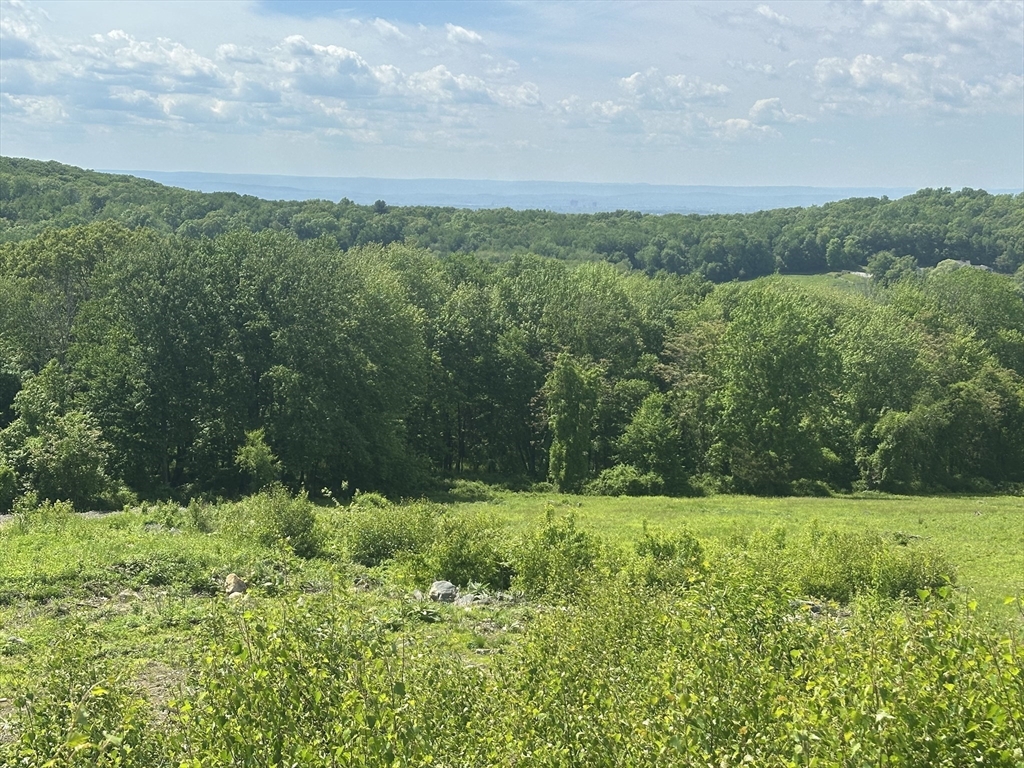8 South Rdg Road Hampden, MA 01036 - Photo 9 of 15 a view of a green field with lots of bushes