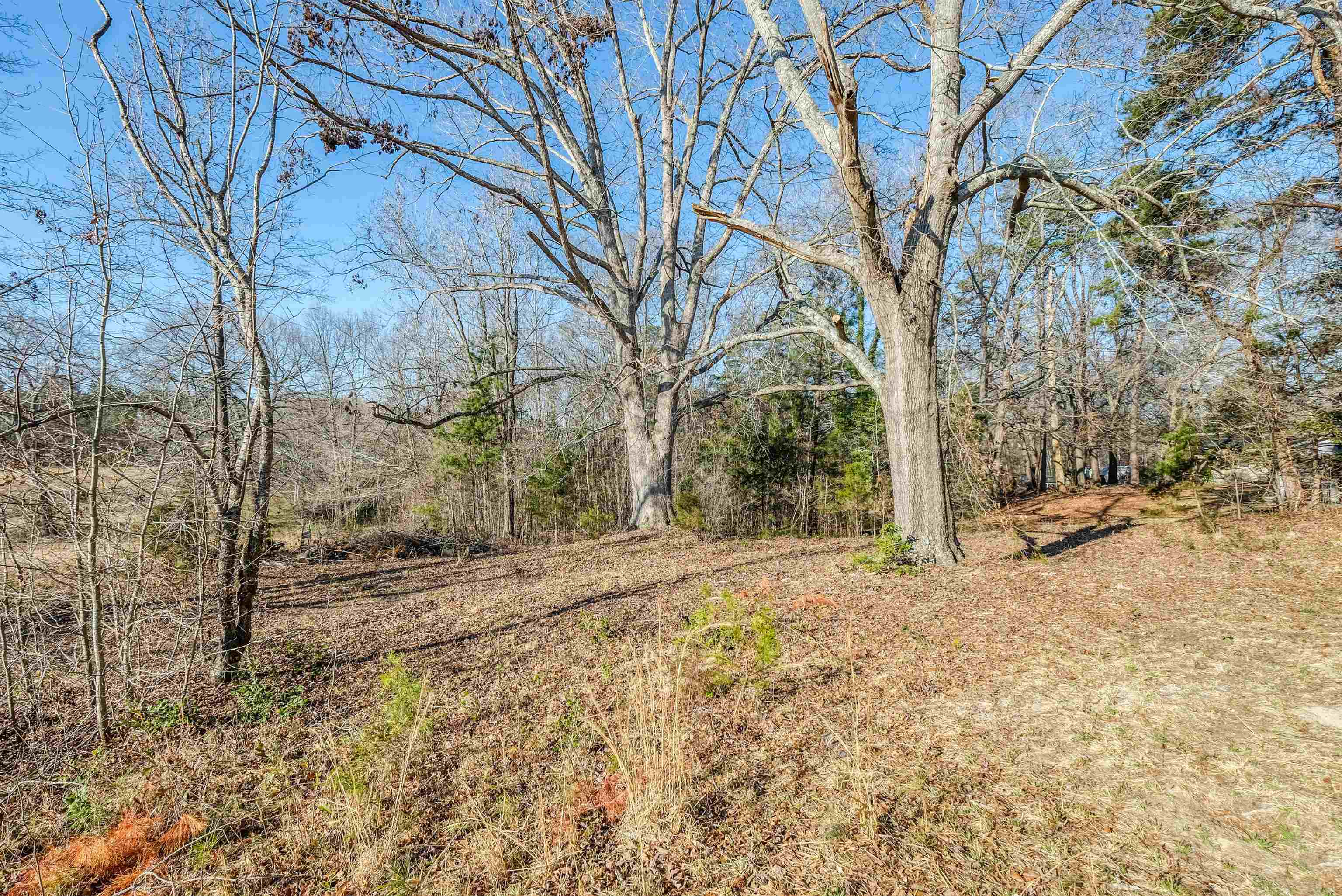 171 Maple Street Pacolet, SC 29372 - Photo 13 of 15 Gallery Image 13