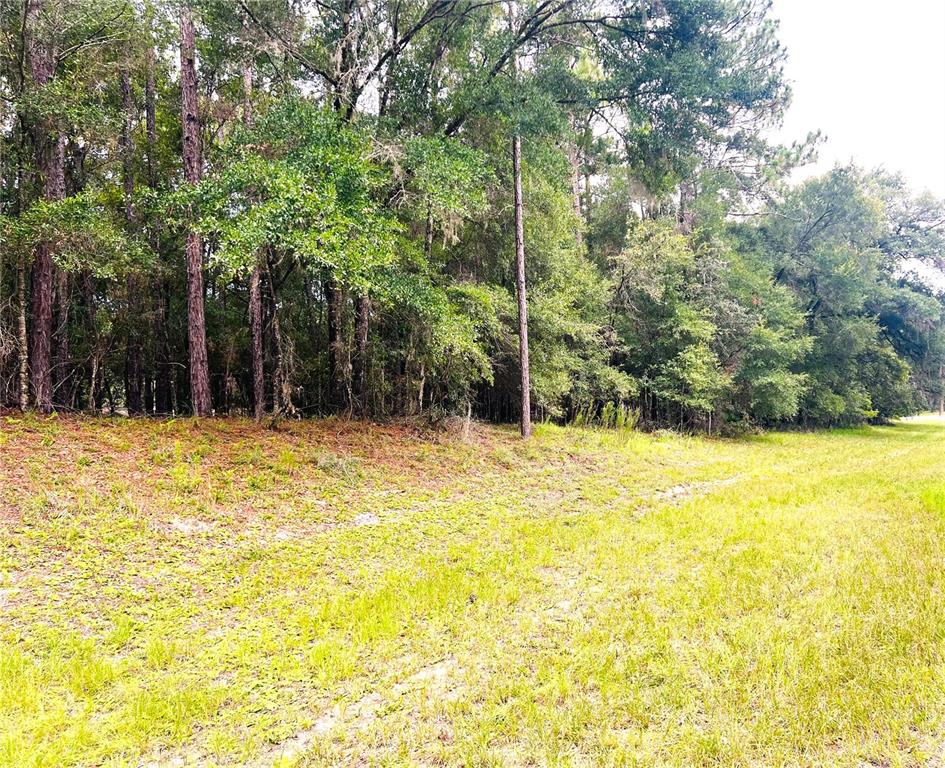 0 Southwest 185th Avenue Road Dunnellon, FL 34432 - Photo 1 of 1 a view of swimming pool with an outdoor space and seating area