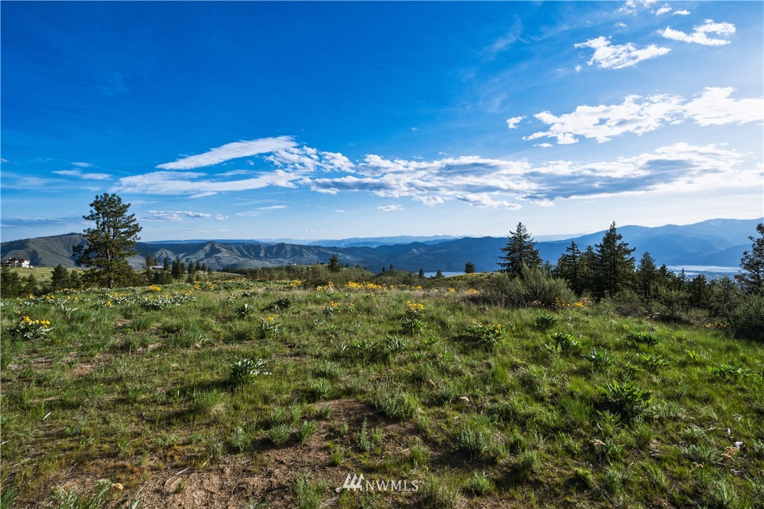 30 Windy Ridge Lane Chelan, WA 98816 - Photo 22 of 25 Gallery Image 22
