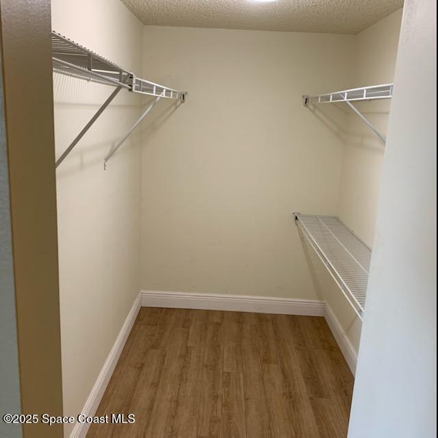 3060 North Atlantic Avenue, Unit 308 Cocoa Beach, FL 32931 - Photo 13 of 20 a view of walk in closet