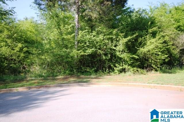 0 Almaroad Place Southwest, Unit 107 Jacksonville, AL 36265 - Photo 24 of 31