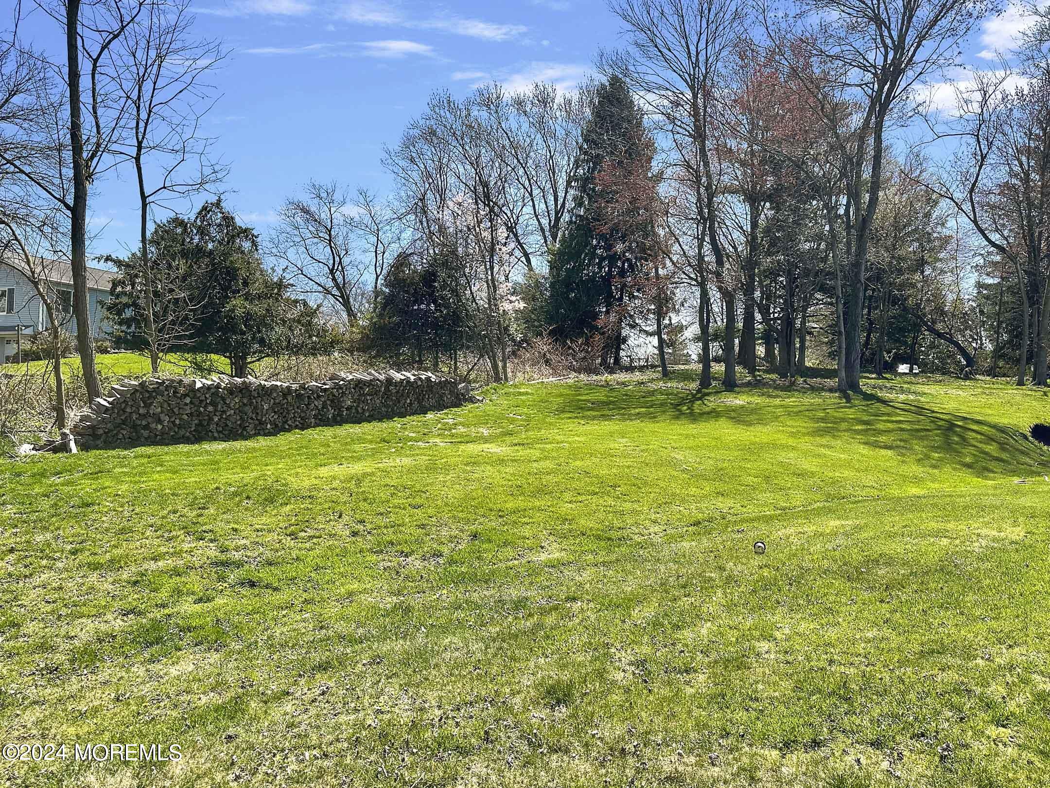 41 Sutton Drive Manalapan, NJ 07726 - Photo 46 of 46 IMG_9690