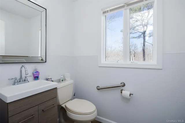a bathroom with a sink mirror and toilet