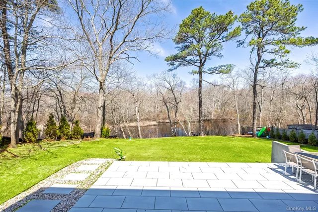 a view of a park with plants and trees