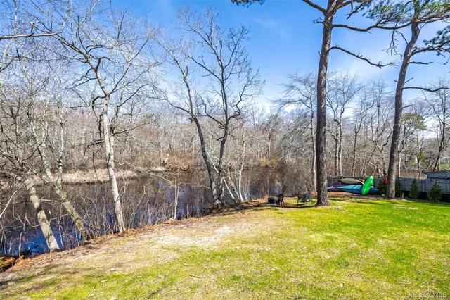a view of yard with tree