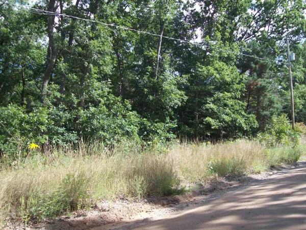 $19,900 | Lot 137 Maryland Street, Harrison, MI 48625