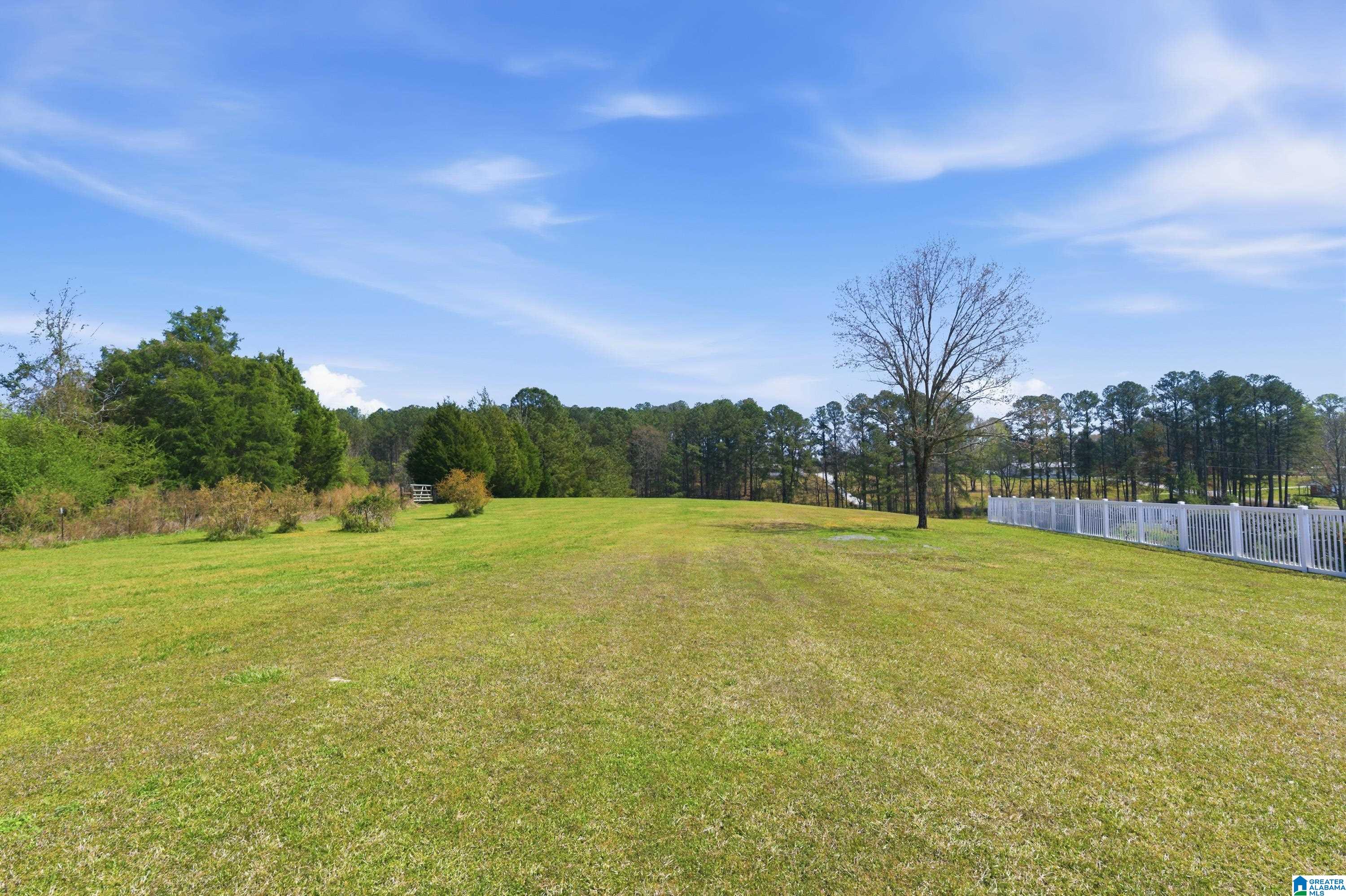 64 Mistletoe Lane Vincent, AL 35178 - Photo 64 of 70