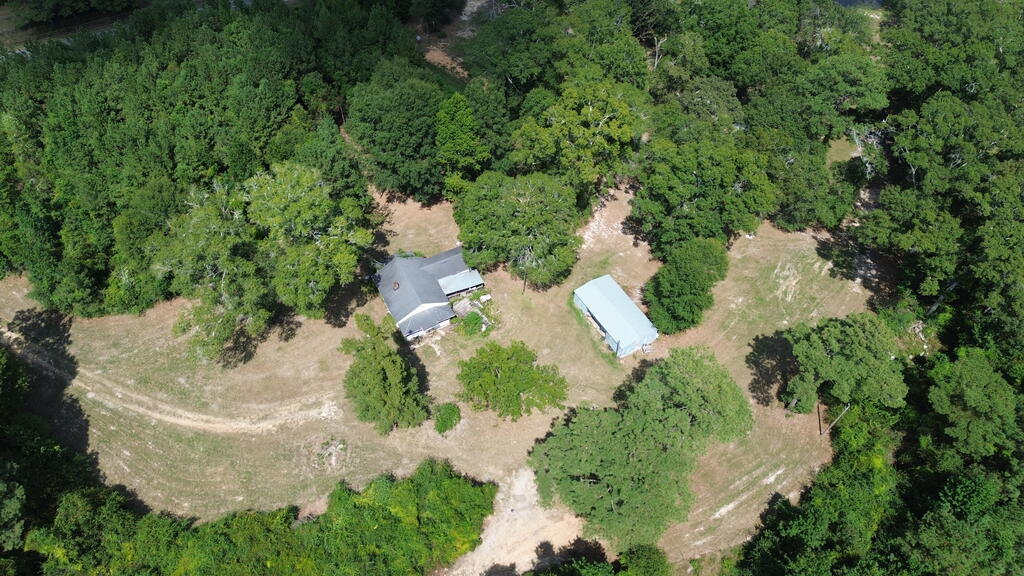 455 Spur Line Road Ellisville, MS 39437 - Photo 3 of 11 Gallery Image 3