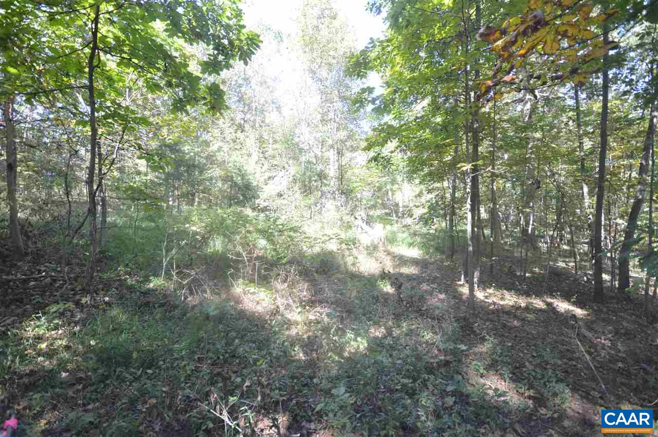 Lot A1 Advance Mills Road Ruckersville, VA 22968 - Photo 12 of 13 a view of forest