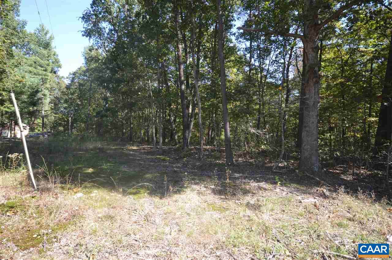 Lot A1 Advance Mills Road Ruckersville, VA 22968 - Photo 6 of 13 a view of a lake view