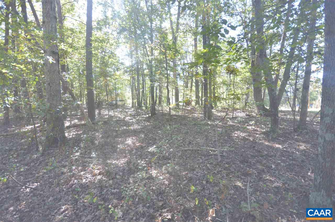 Lot A1 Advance Mills Road Ruckersville, VA 22968 - Photo 8 of 13 a view of forest with trees