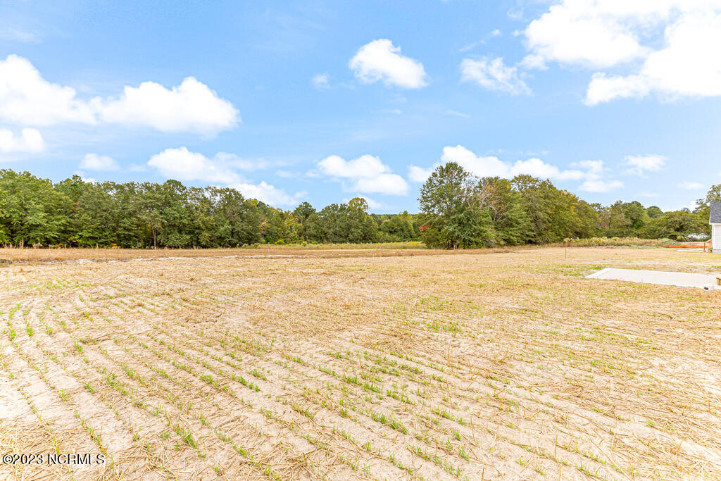 1797 Reservation Road Aberdeen, NC 28315 - Photo 32 of 33 1797 Reservation Rd-LR-JFP-9