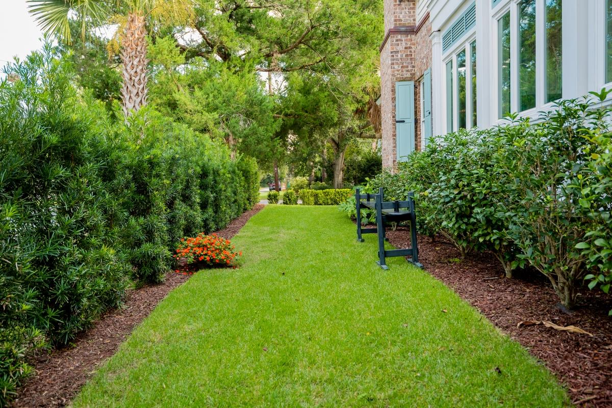 801 Pitt Street Mount Pleasant, SC 29464 - Photo 29 of 34 thumb_29