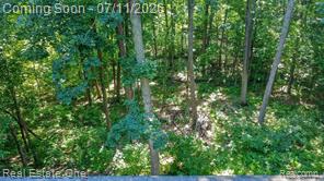 310 South Van Road Holly, MI 48442 - Photo 53 of 67