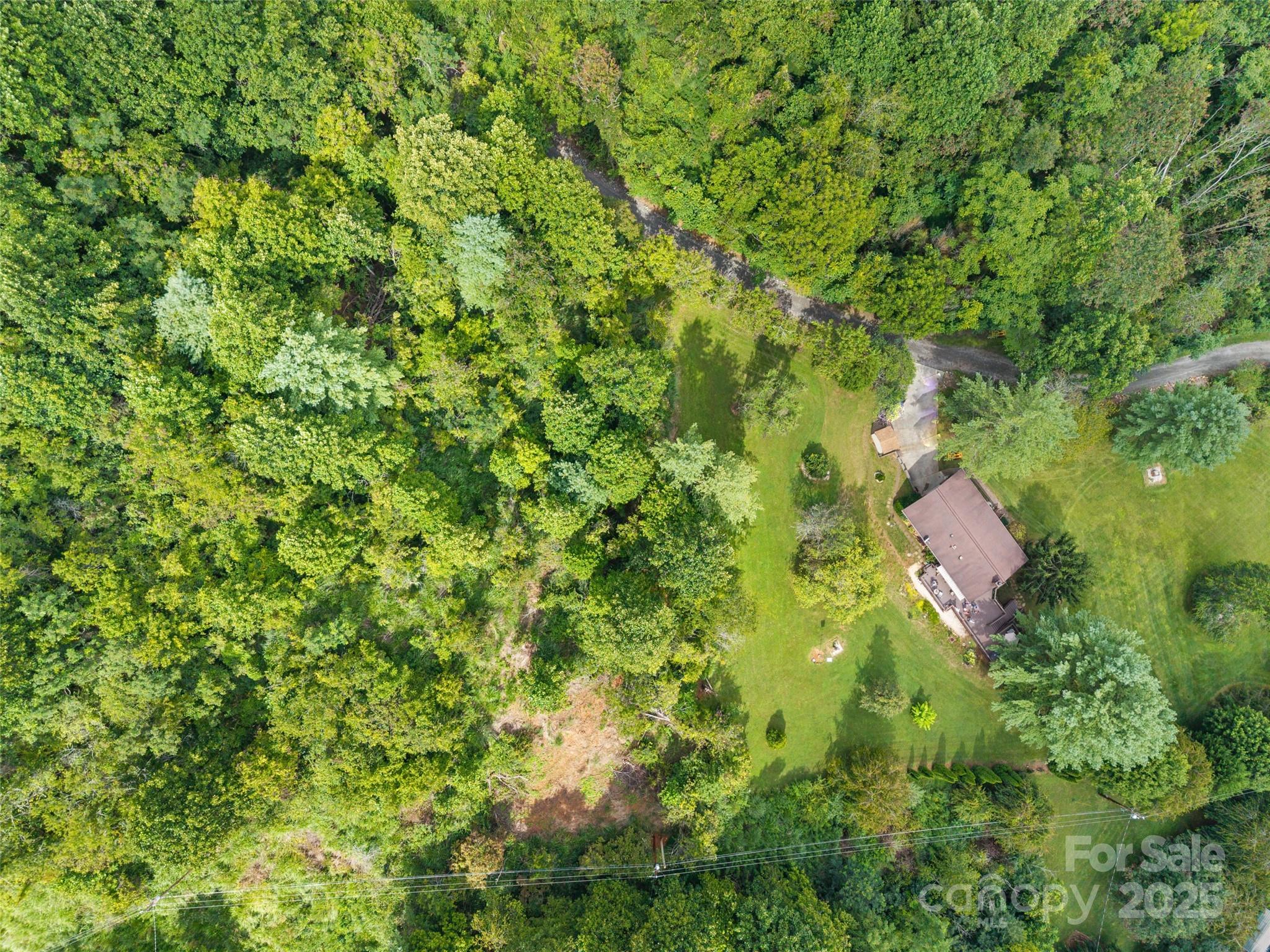 41 Red Fox Den Road Mars Hill, NC 28754 - Photo 3 of 34 Gallery Image 3