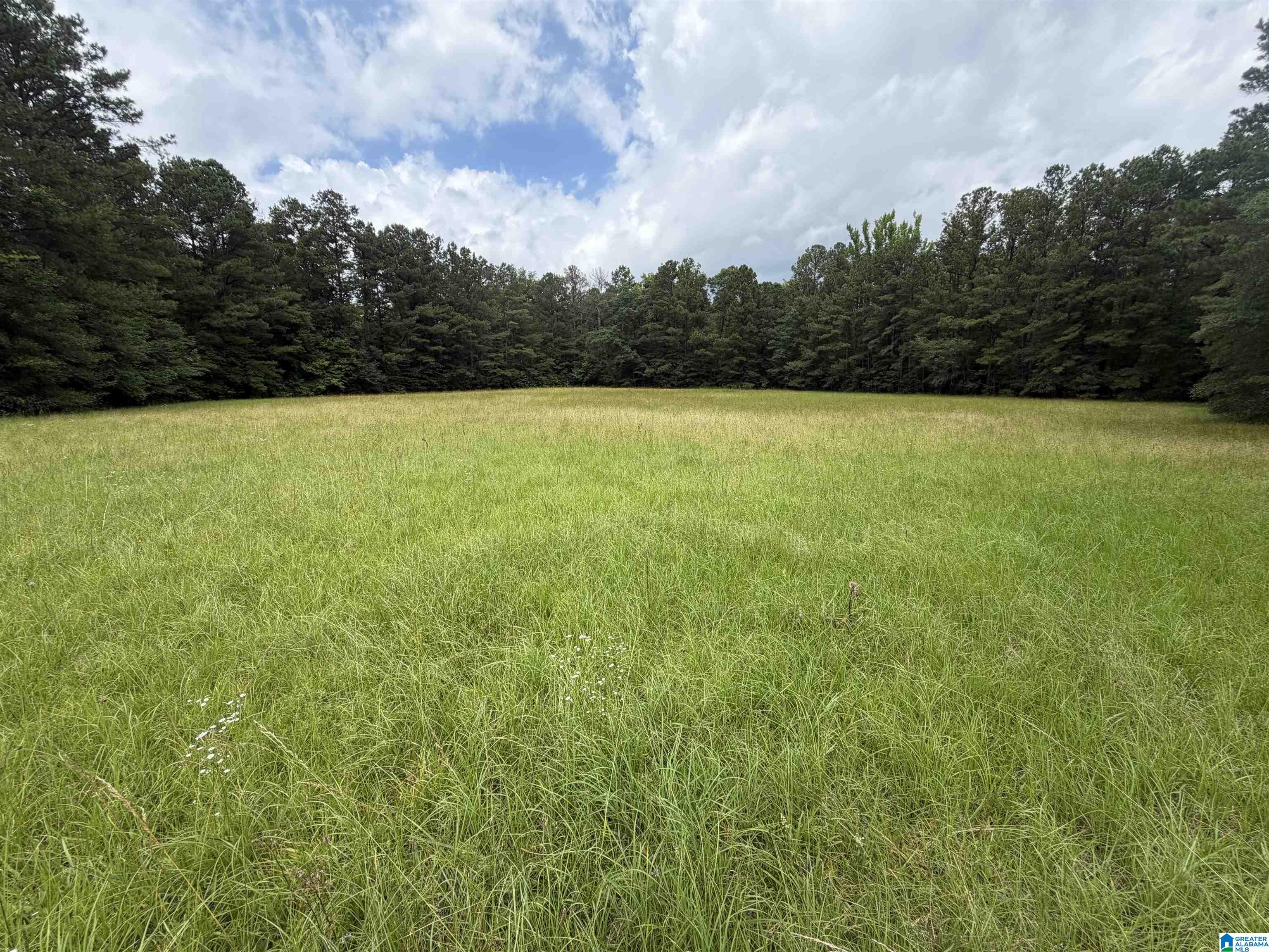 0 Hall Burton Road, Unit 1 Sumiton, AL 35148 - Photo 5 of 10