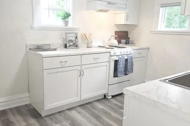 $950 | 313 East St Joseph Street, Lansing, MI 48933