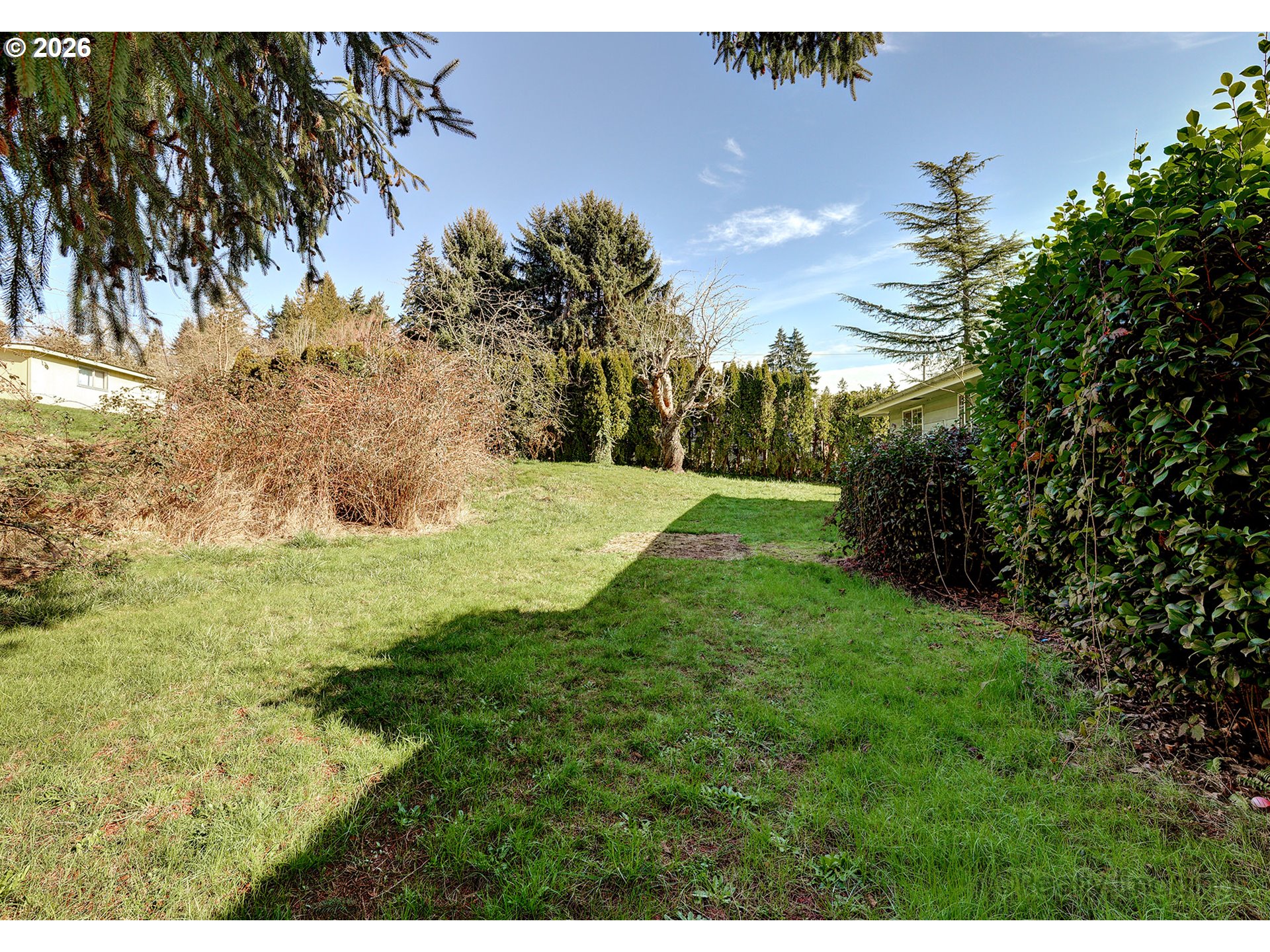 1703 Allen Street Kelso, WA 98626 - Photo 11 of 23 a view of a field with a tree