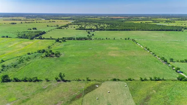 a view of a field with an trees